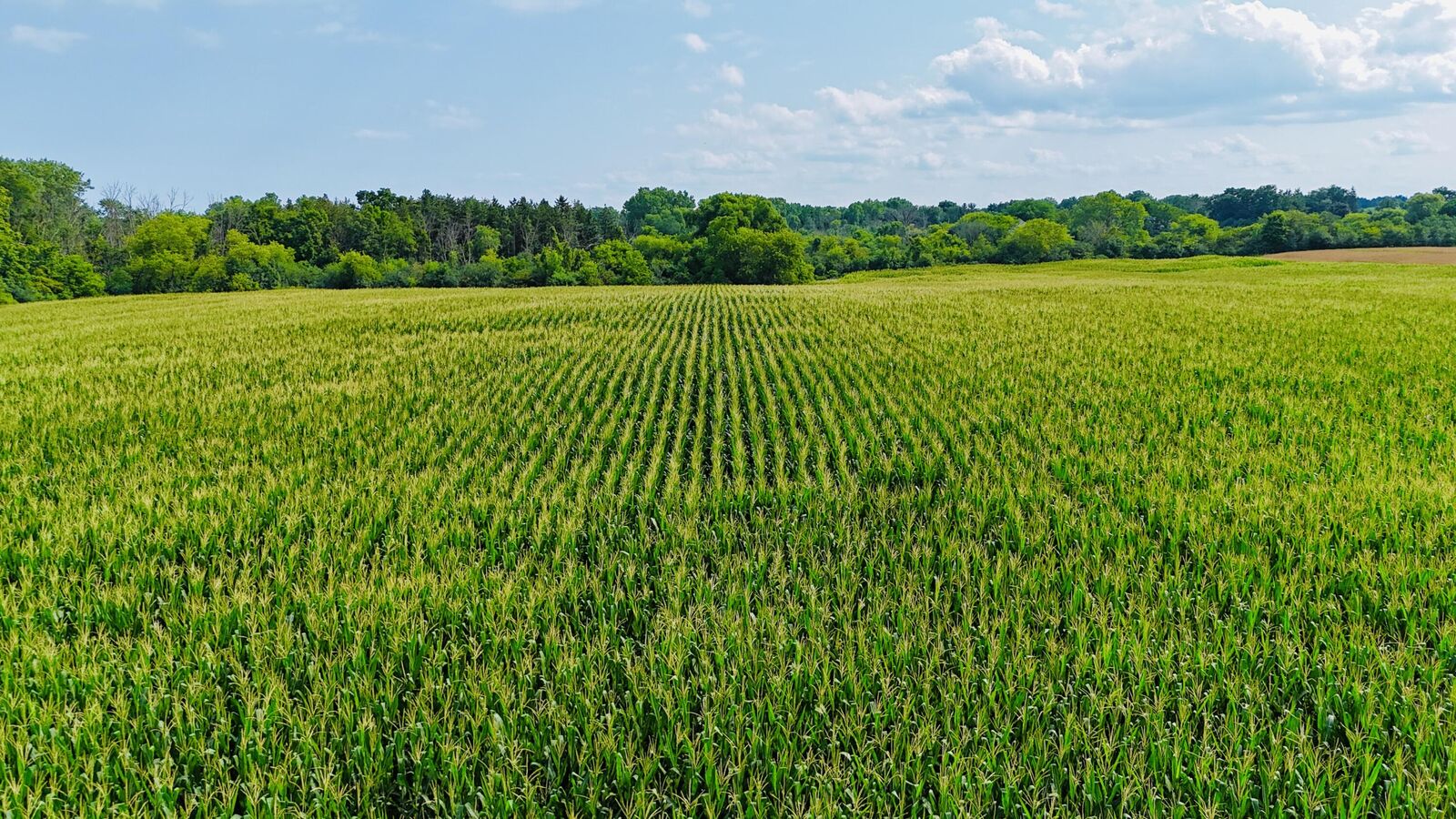 Property Photo:  Lt1 3 Mile Rd  WI 53406 