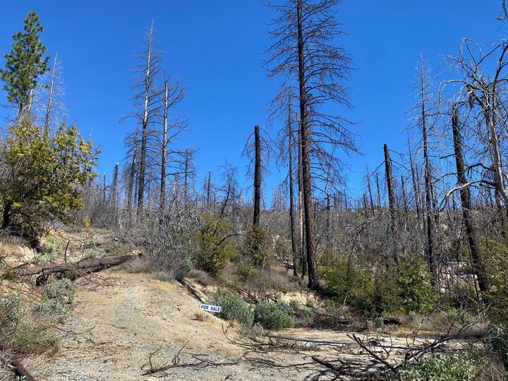 Property Photo:  0 Bald Rock Road  CA 95916 