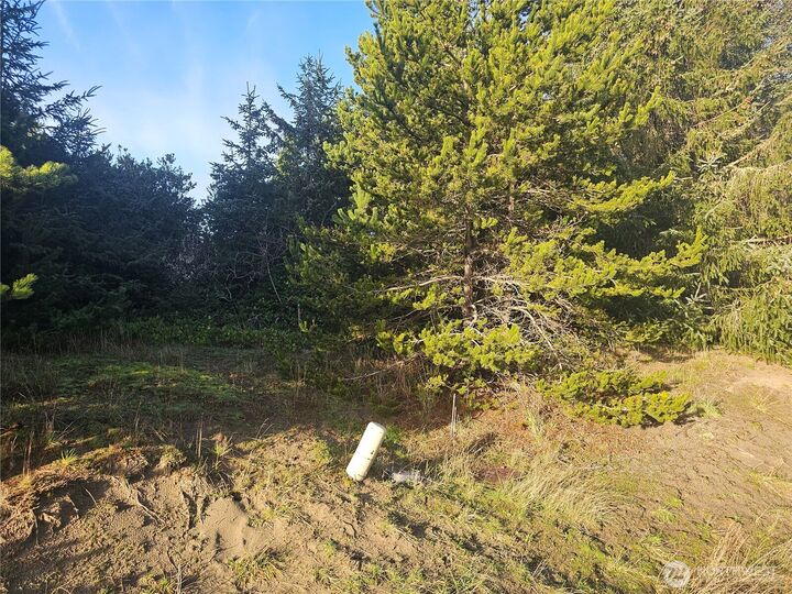 Property Photo:  276 S Wynoochee Drive SW  WA 98569 