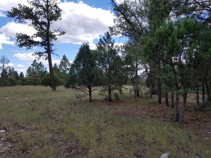 Property Photo:  4587 Jeans Way  AZ 86024 