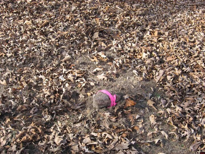 Property Photo:  002-11058-005 Shoshoni Trail  AR 72623 