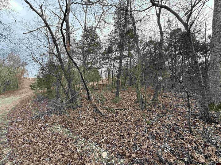 Property Photo:  775-01692-000 Mallard Drive  AR 72630 