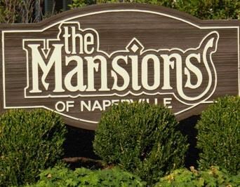 Property Photo:  1112 Iroquois Avenue 12  IL 60563 