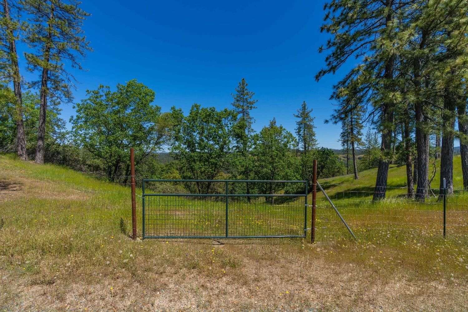 Property Photo: 12377 Twin Pines Rd CA 95685