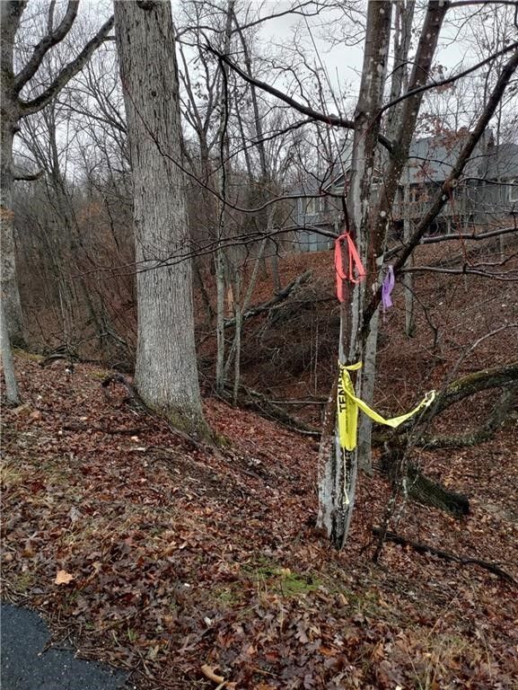 Property Photo:  Lot 4, Block 7 Beith Lane  AR 72715 