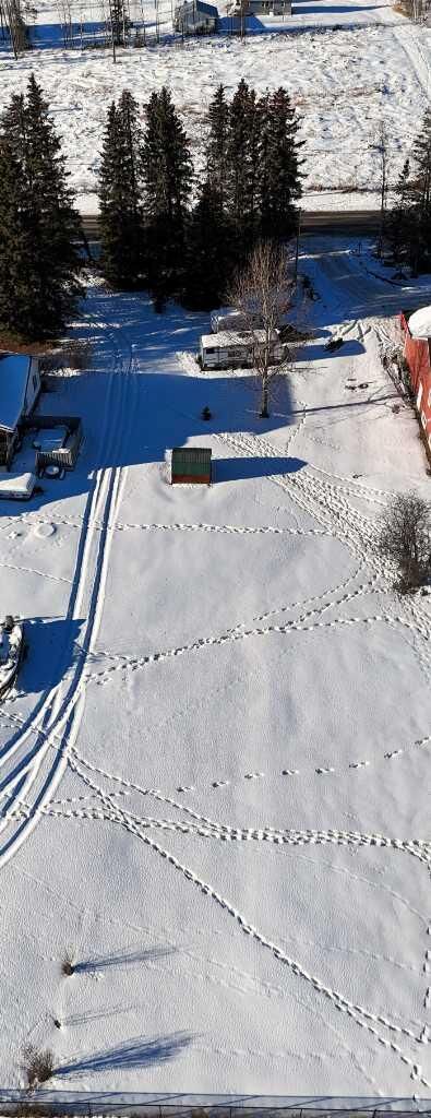 Photo de la propriété:  1723 63 Street  AB T7E 1S2 