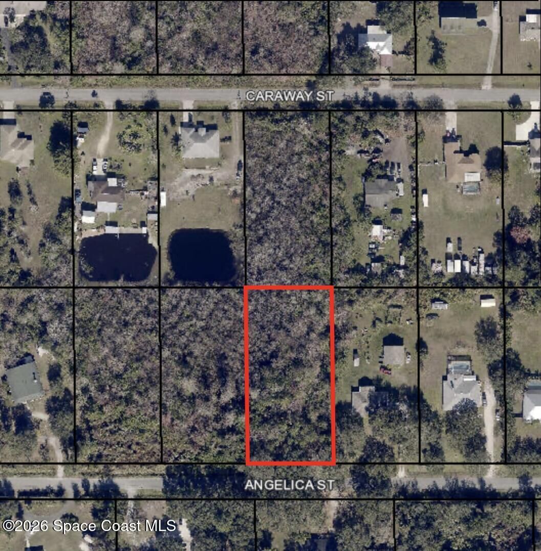 Property Photo:  3324 Angelica Street  FL 32926 