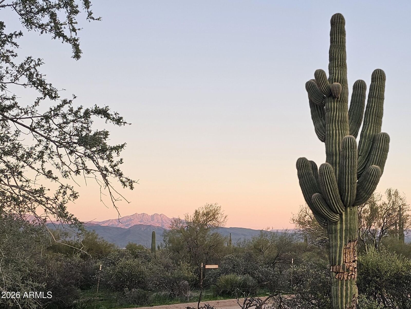 Property Photo: 32xxx N 162nd Street F AZ 85262