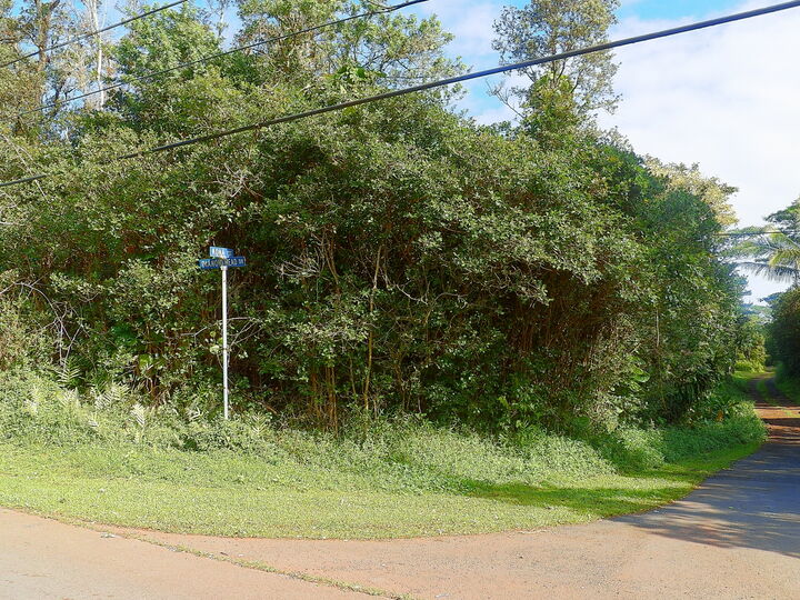 Property Photo:  Diamond Head Dr  HI 96778 