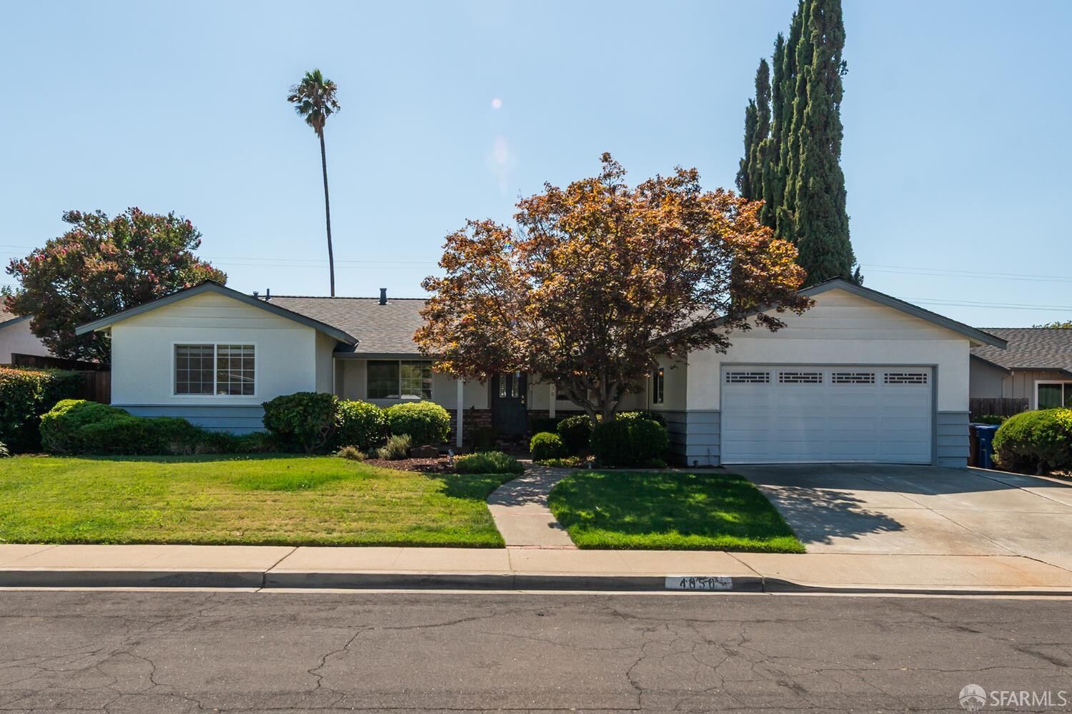 Property Photo:  4650 Phyllis Lane  CA 94521 