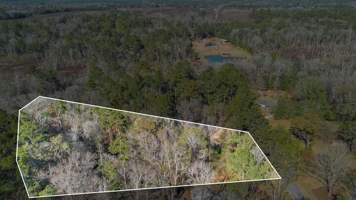 Property Photo:  X Millwood Drive  FL 32333 