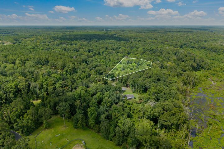 Property Photo:  X Millwood Drive  FL 32333 