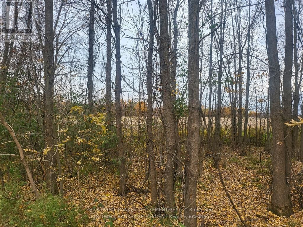 Property Photo:  Lot 5 Bush Road  ON K0G 1E0 