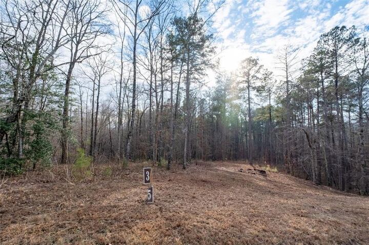 Property Photo: 0 Freestone Street GA 30175