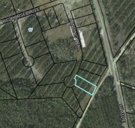 Property Photo:  Lot 35 Landing Trail  GA 31566 
