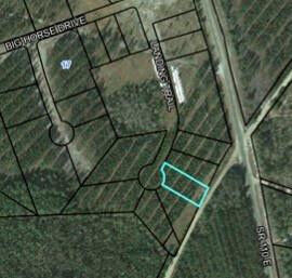 Property Photo:  Lot 35 Landing Trail  GA 31566 