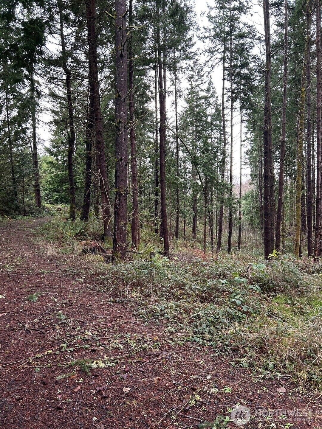 Property Photo:  0 NE Sawdust Hill Road Lot 6  WA 98370 