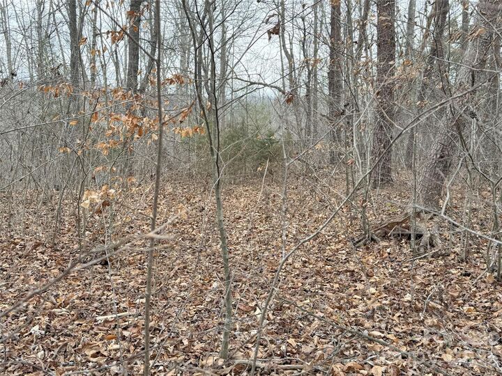 Property Photo:  0000 E Rambling Creek Drive 26  NC 28782 