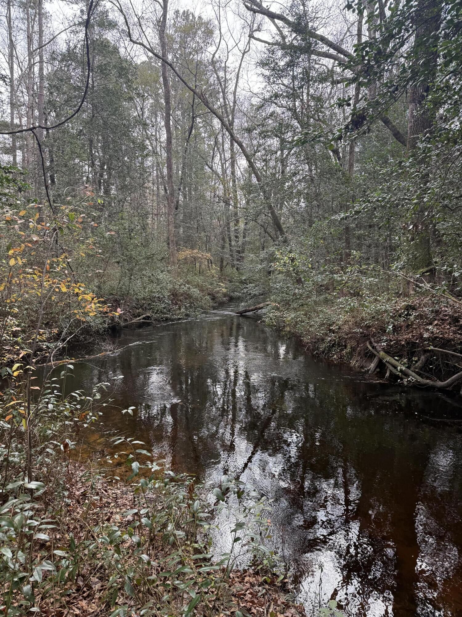 Property Photo:  675 Vaughns Mill Pond Road  SC 29020 