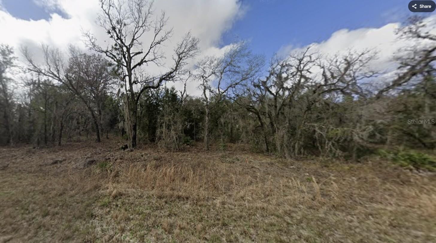 Property Photo:  16221 Crider Road  FL 34614 