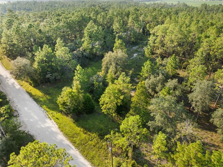 Property Photo:  NE 00 Street  FL 32696 