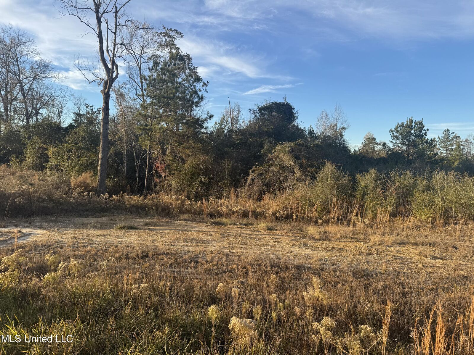 Property Photo:  12 Acres Parker Road  MS 39561 