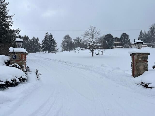 Property Photo:  8903 Maidens Road  MI 49614 