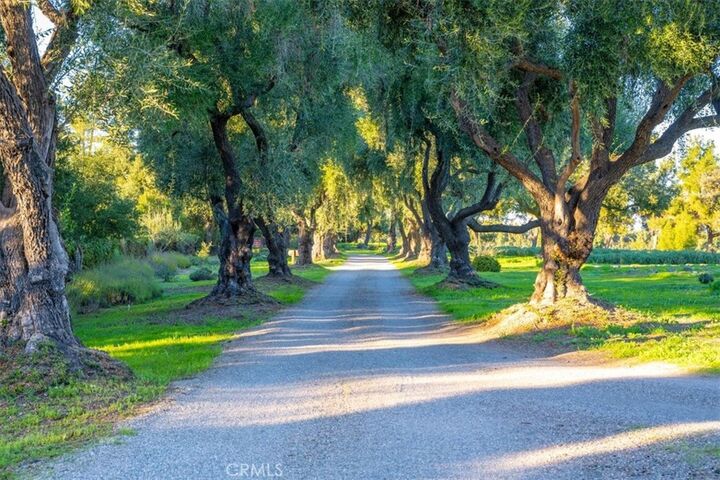 Property Photo: 2480 Roblar Avenue CA 93441