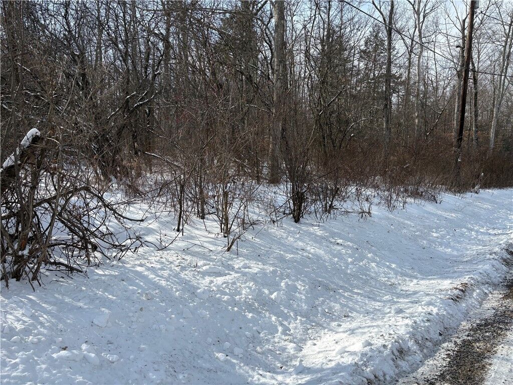 Property Photo:  0 Townsend Road  NY 14891 