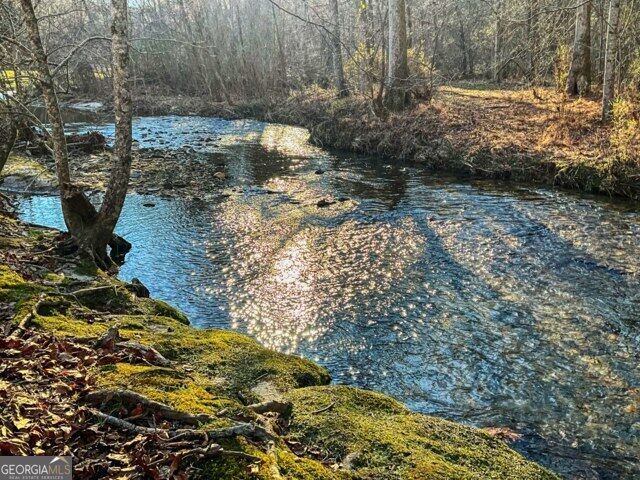 Property Photo:  188 Clear Creek Valley Drive  GA 30536 