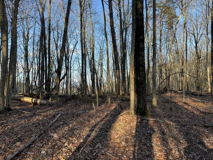 Property Photo:  0 Shivas Crest  GA 30738 