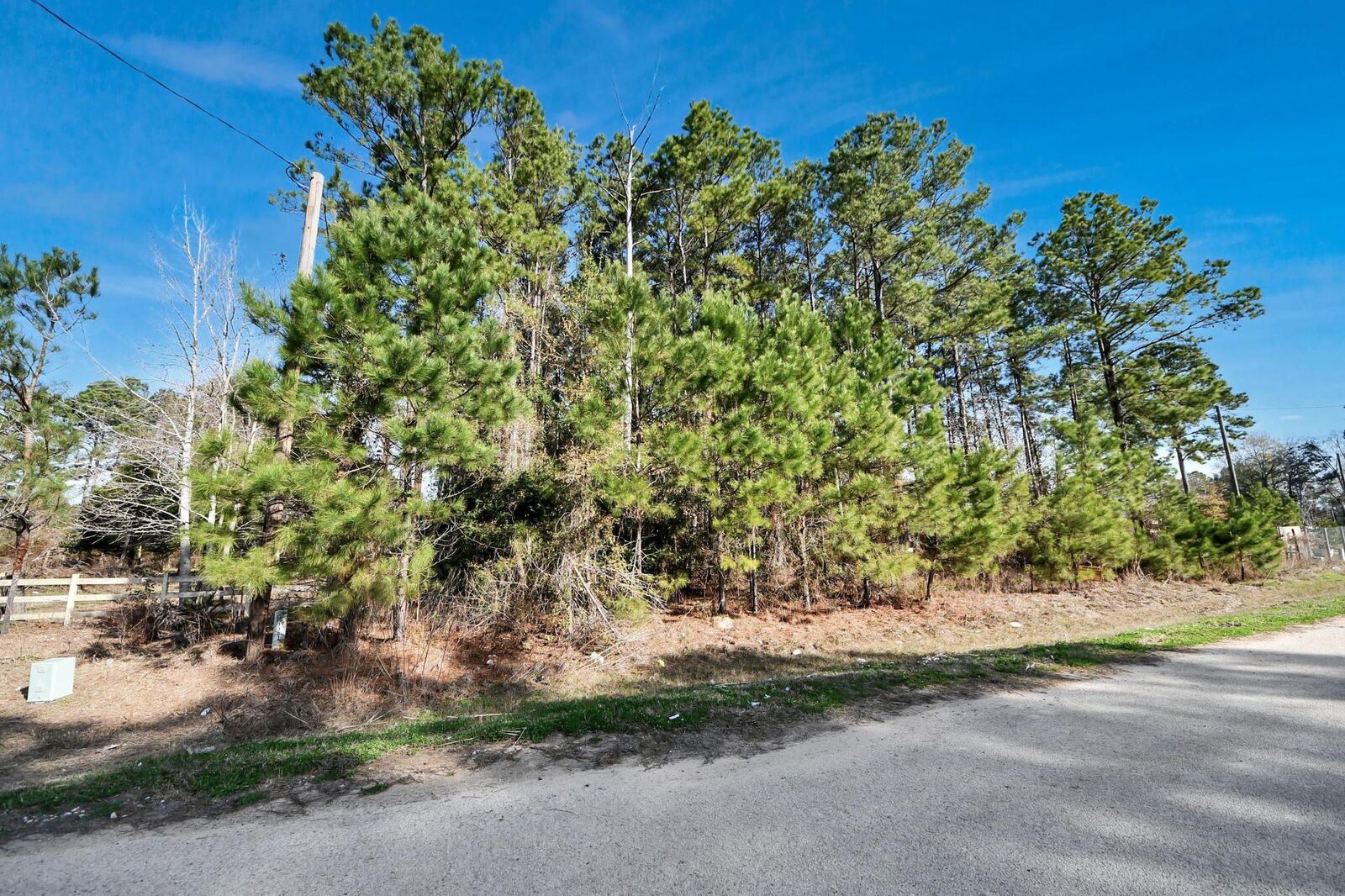 Property Photo:  1307 County Road 3479J  TX 77327 