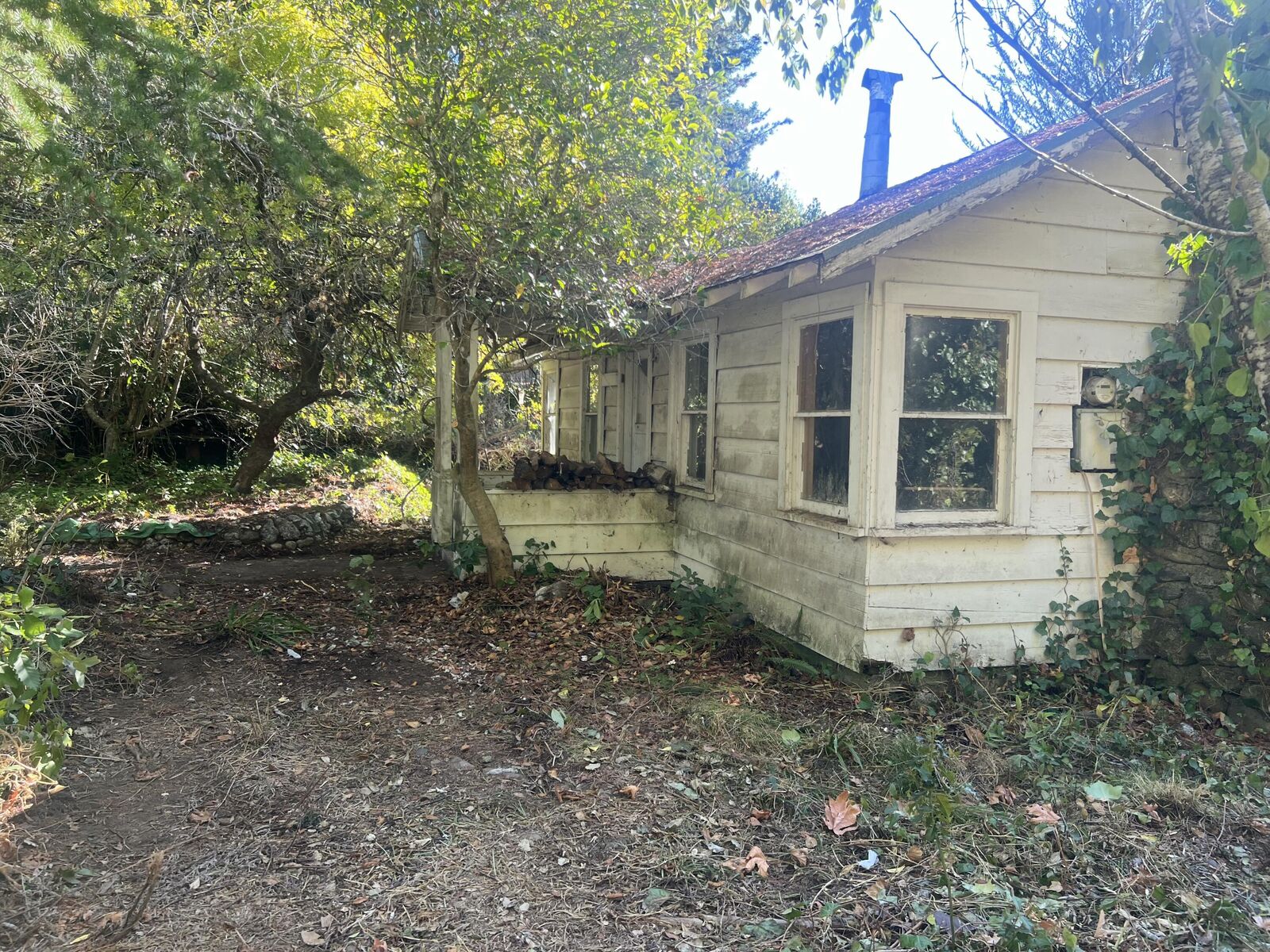 Property Photo: 220 Lum Street CA 95571