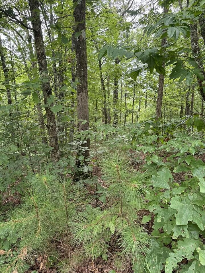 Property Photo:  Lot 5 Harris Creek Drive  GA 30540 