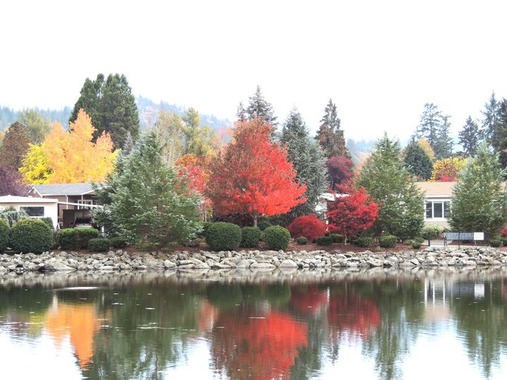 Property Photo:  303 Kingsley Drive  OR 97526 