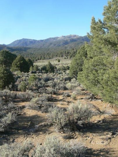 Property Photo:  310-010-02 Off Gorman Rd.  CA 93527 