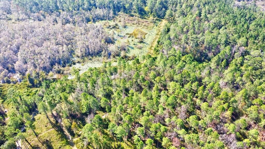 Property Photo:  0 Nichols Ln  GA 31601 