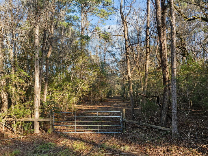 Property Photo:  03 Summit Plantation Road  SC 29449 