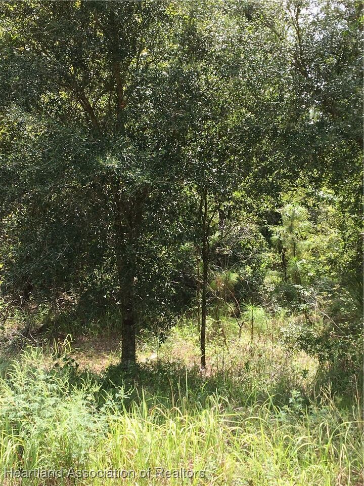 Property Photo:  9610 Pleasant Drive  FL 33875 