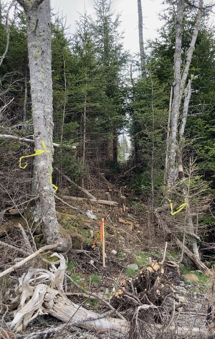 Property Photo:  Lot 21-2 West Liscomb Point Road  NS B0J 2A0 