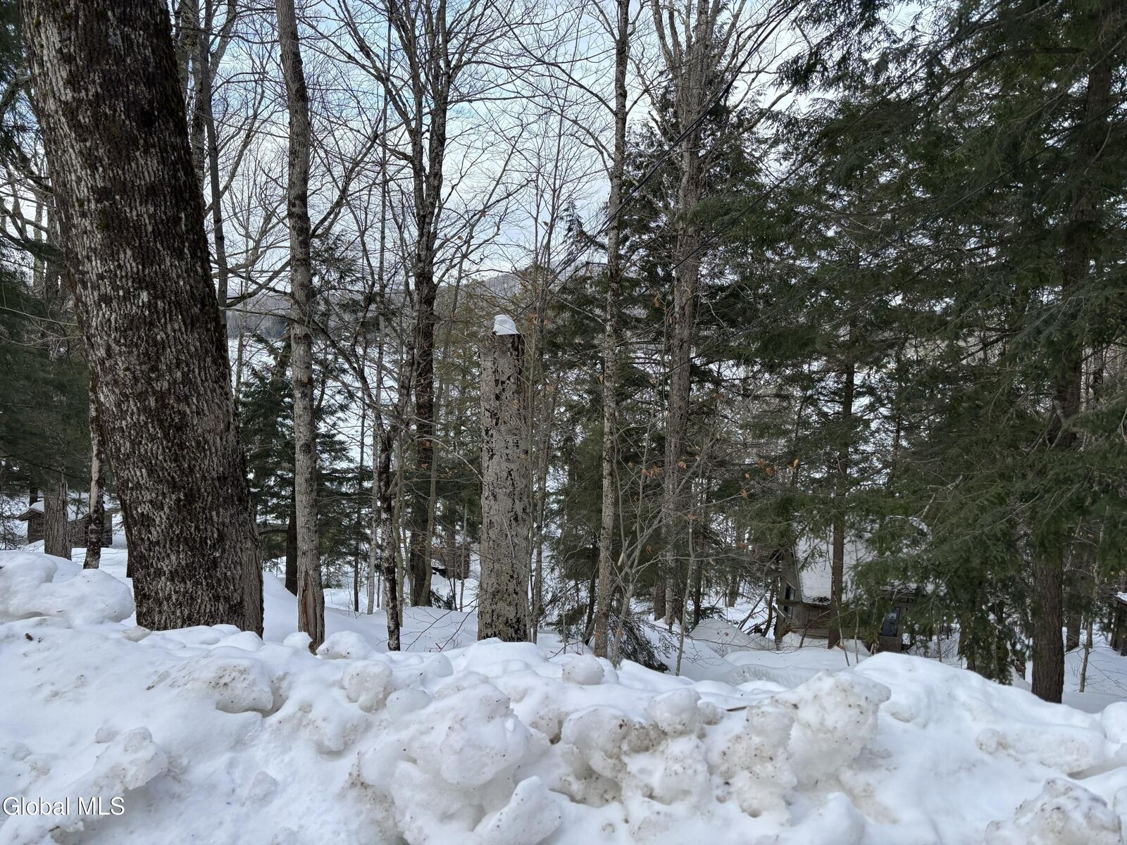 Property Photo: L 25 Sand Point Road NY 12032