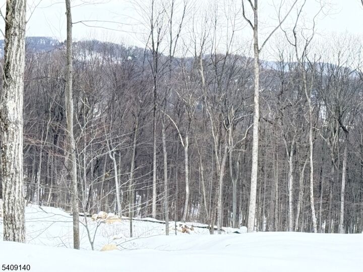 Property Photo:  8 Bristol Ridge Rd  NJ 07005 