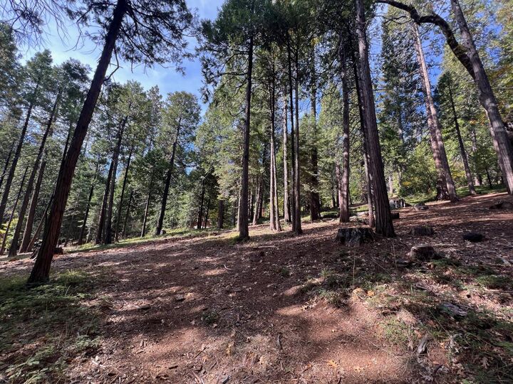 Property Photo:  646 Dean Way  CA 95223 