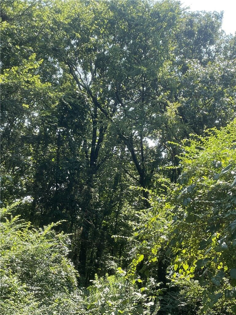 Property Photo:  312 Cr 3222 Four Ac  AR 72830 