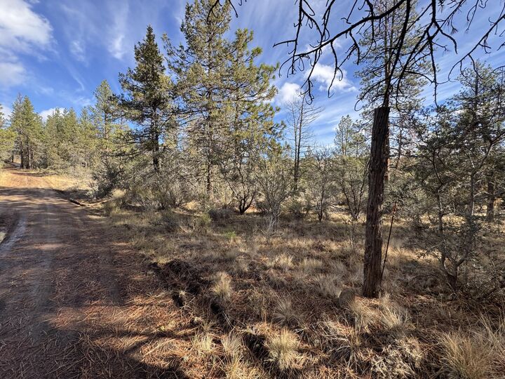 Property Photo:  0 Golden Eagle Drive 23 &Amp 24  OR 97623 