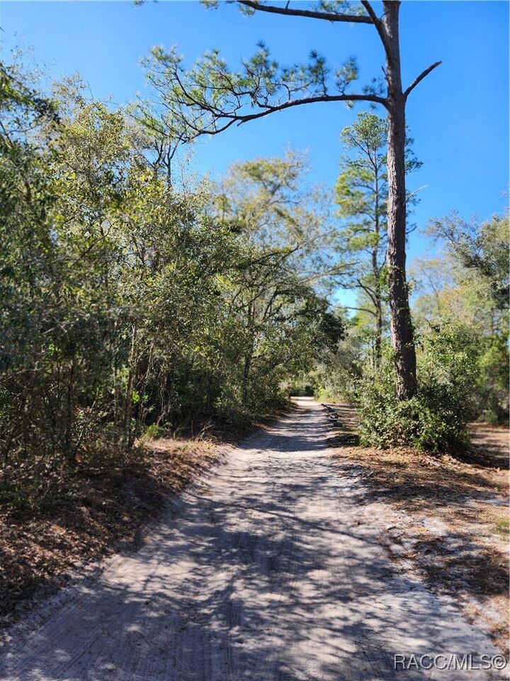 Property Photo:  6402 E Grantham Court  FL 34442 