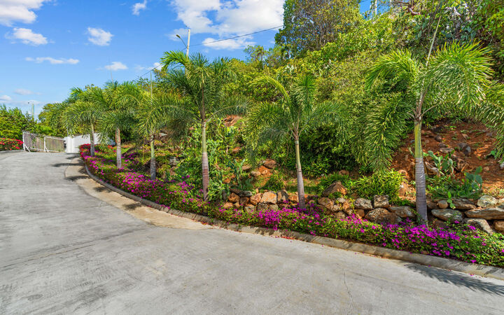 Property Photo:  10-3-5 Peterborg Gns  VI 00802 