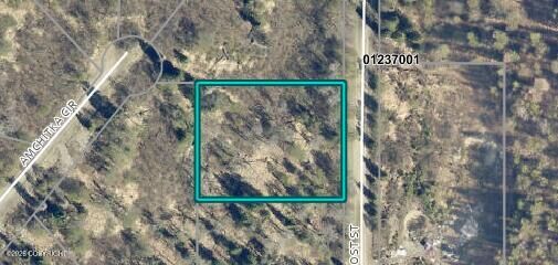 Property Photo:  L6 B1 Frost Street  AK 99635 