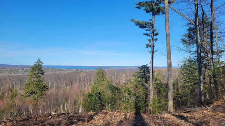 Property Photo:  888xx Turner Rd  WI 54814 