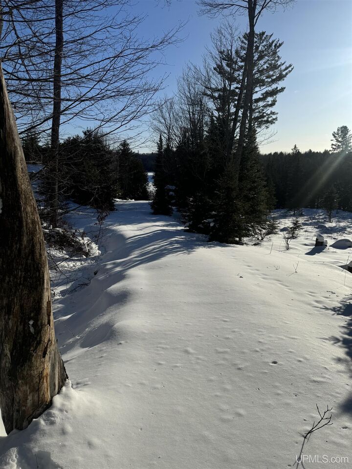 Property Photo:  Tbd Peterson Drive  MI 49801 